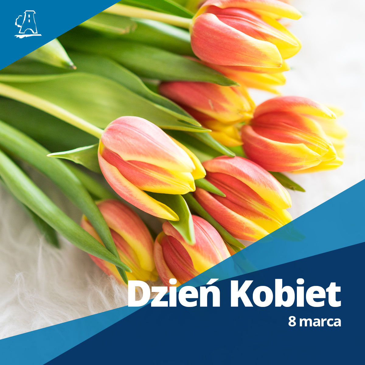 Tulipany dla Kobiet z okazji Dnia Kobiet 8 marca